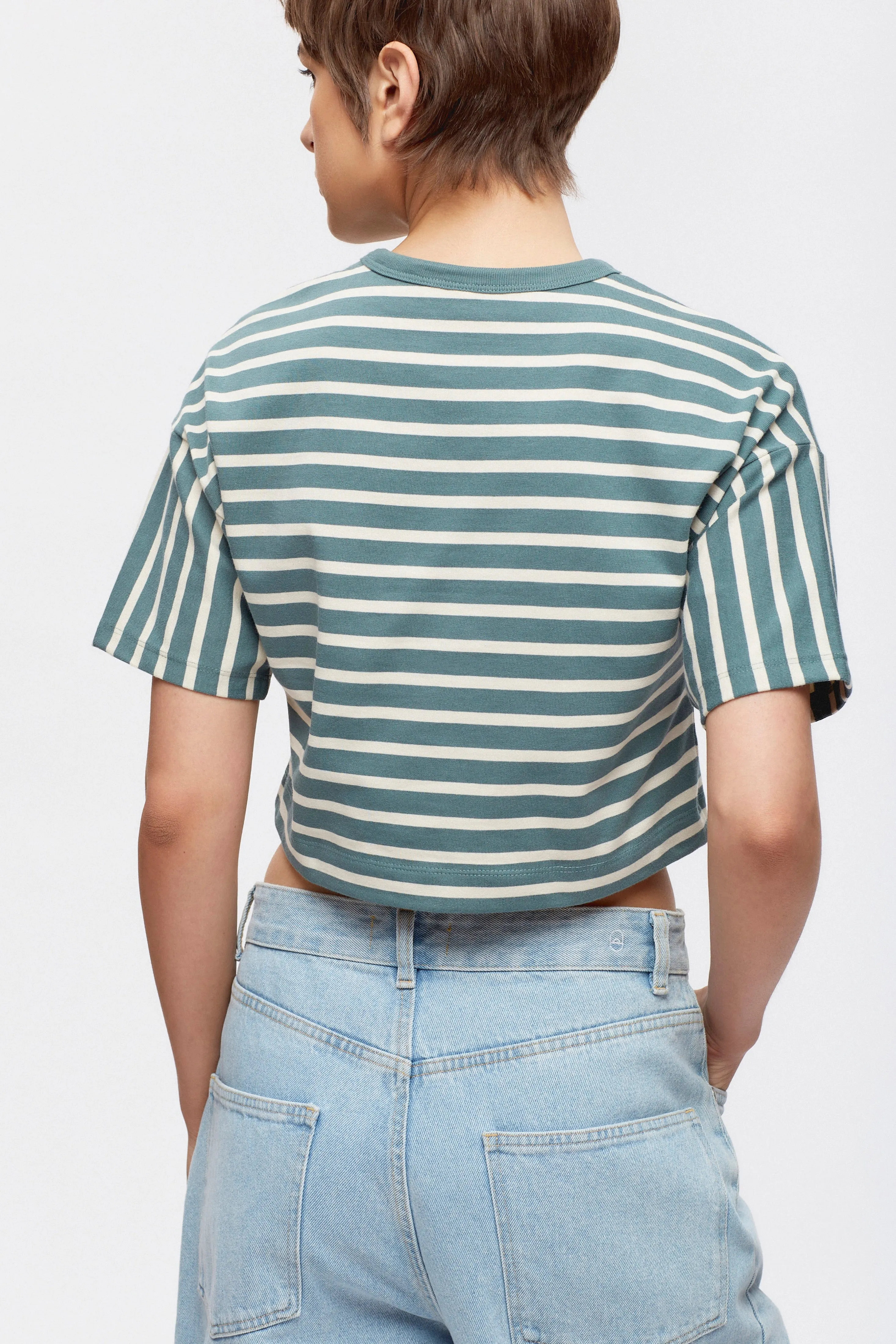 Women's Heavyweight Crop Tee in Silver Pine/Birch Stripe